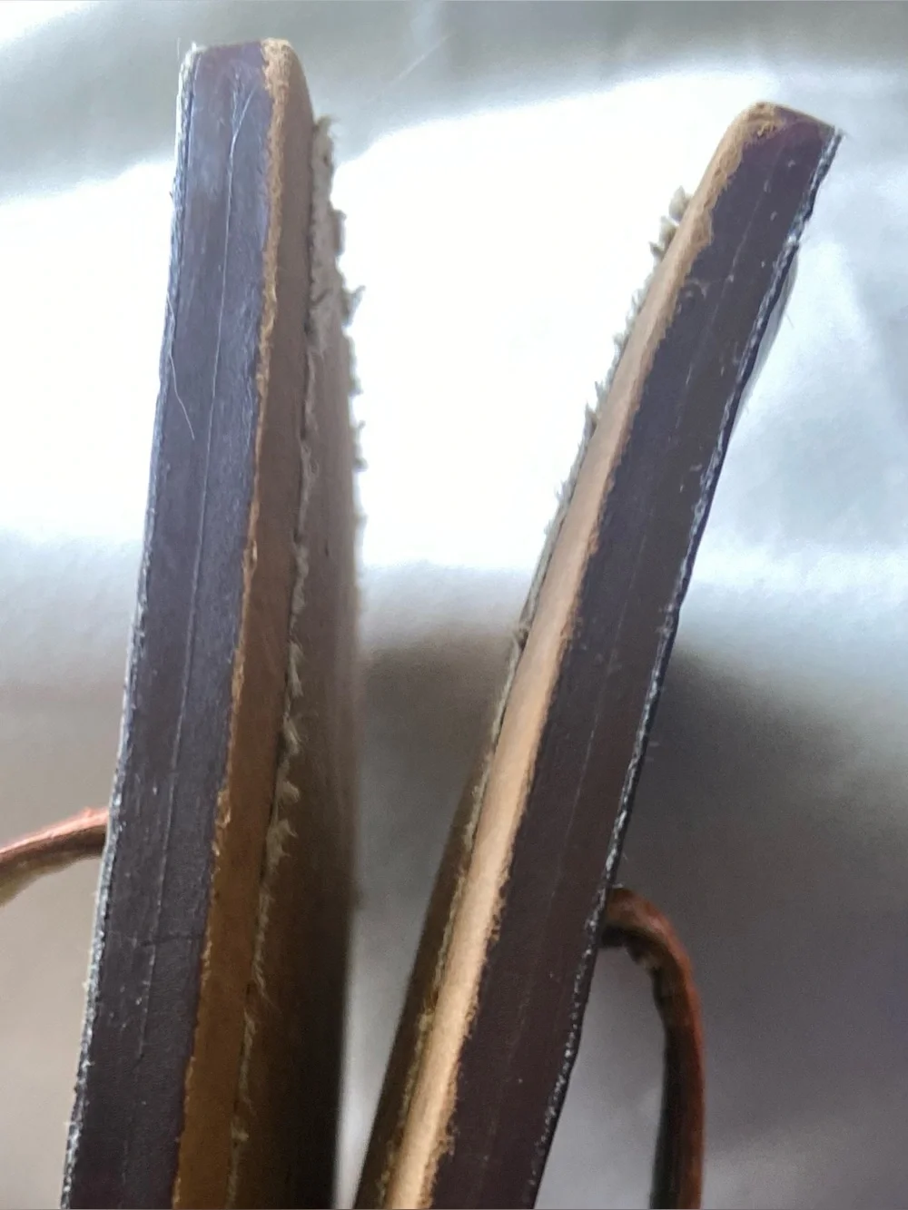 Sam Edelman 